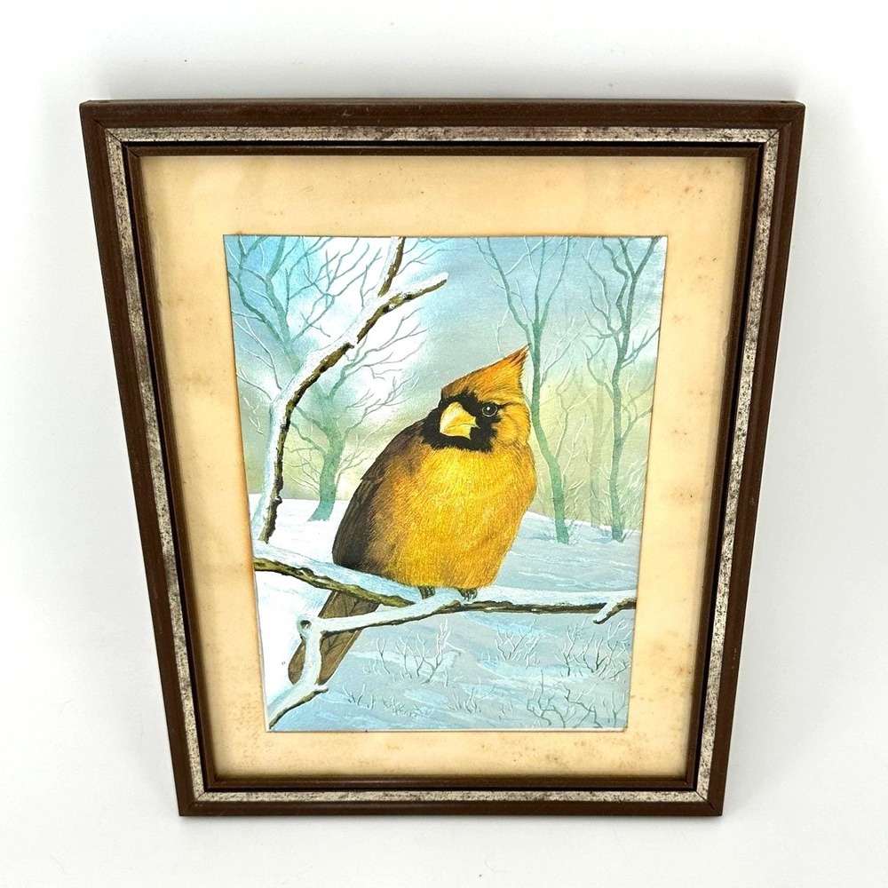 Vintage Cardinal Bird Wall Art Winter Nature Cabin Cottagecore Framed Print